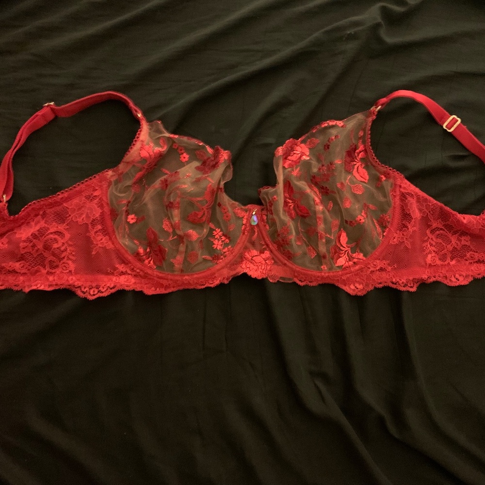 34H Honey Birdette Whitney bra in red